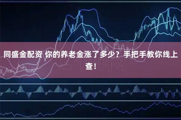 同盛金配资 你的养老金涨了多少？手把手教你线上查！