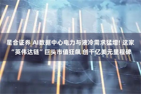星合证券 AI数据中心电力与液冷需求猛增! 这家“英伟达链”巨头市值狂飙 创千亿美元里程碑