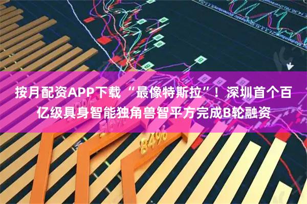 按月配资APP下载 “最像特斯拉”！深圳首个百亿级具身智能独角兽智平方完成B轮融资