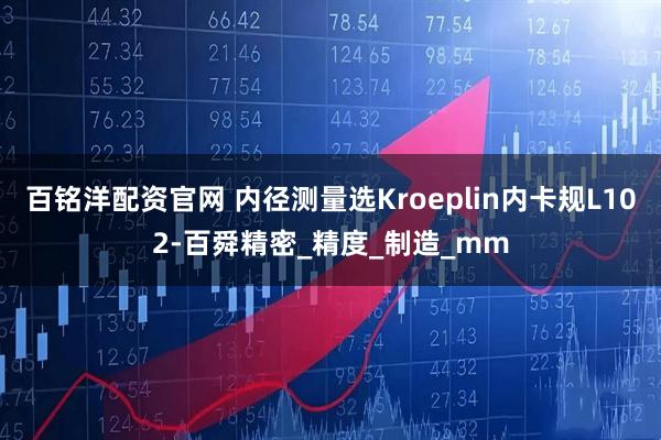 百铭洋配资官网 内径测量选Kroeplin内卡规L102-百舜精密_精度_制造_mm